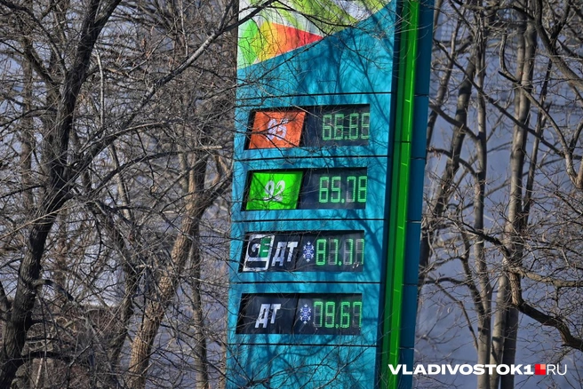 Источник: Елена Буйвол / VLADIVOSTOK1.RU