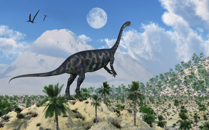 Кто первым открыл динозавров? Выяснилось, что это были вовсе не британские джентльмены