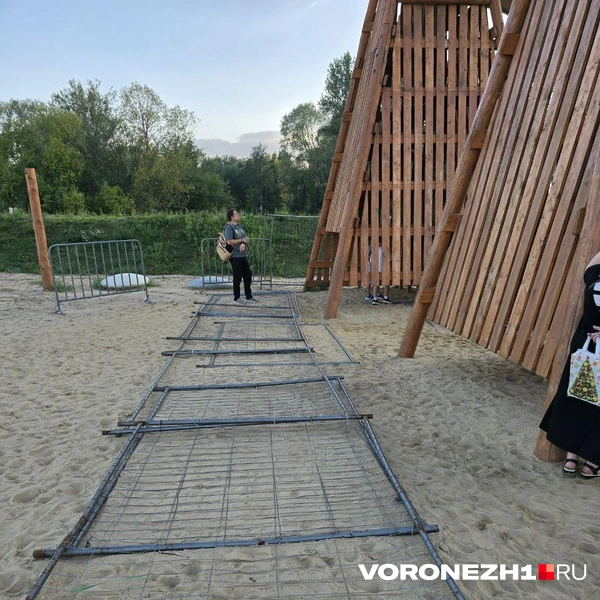 Источник: Ирина Булгакова \ Voronezh1.ru