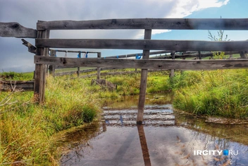 Он огорожен от животных | Источник: Алена Кашпарова / «ИрСити»