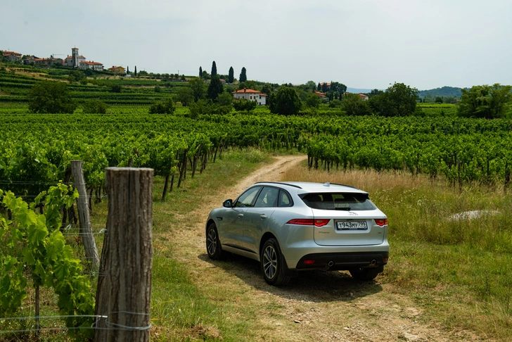 В год дебюта Jaguar F-Pace получил награду World Car of the Year — «Всемирный автомобиль года»