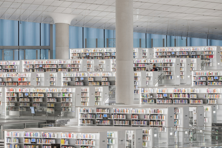 Библиотека по проекту Рема Колхаса (фото 2)