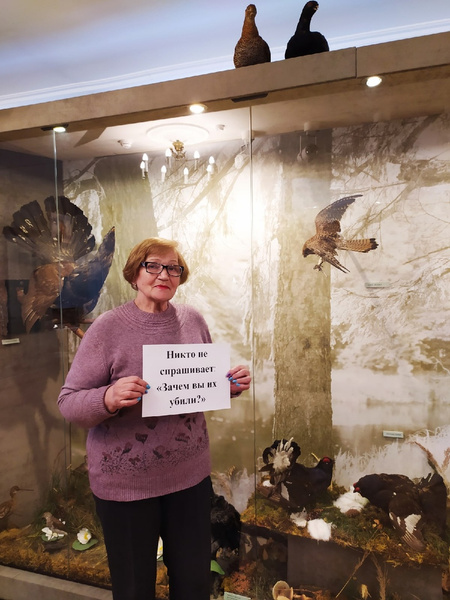 «Никто не целится в смотрителя из лука»: российские театры, музеи и библиотеки пытаются весело скучать по посетителям (фото)