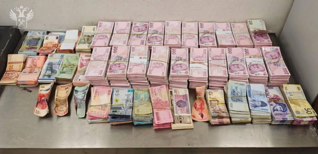 Контрабандист пытался сбежать от таможенников в Шереметьево. Чемодан денег объединил семь стран — видео | Источник: ФТС России