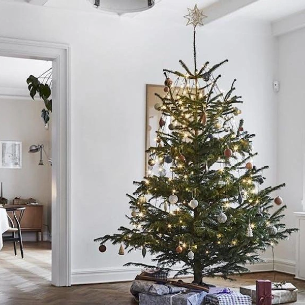 Белая новогодняя елка: 25+ фото и идей