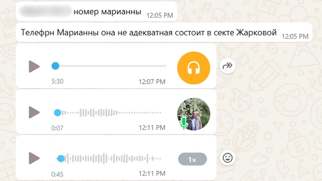 В переписке с журналистом мужчина делится контактами людей из «секты», фрагментом некой аудиолекции и аудиосообщений о некоем «лечении» | Источник: Сергунин Сергей Анатольевич 