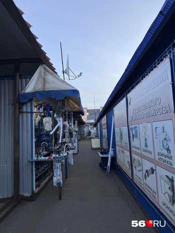 Источник: Екатерина Федорюк / ВКонтакте