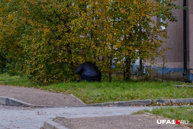 Дом он уже построил, надо полагать | Источник: Булат Салихов / UFA1.RU