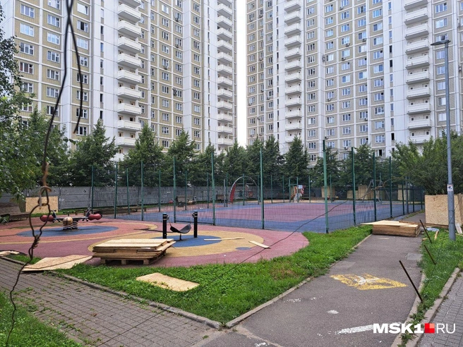Источник: Арина Майорова / MSK1.RU