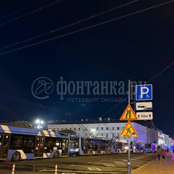 Источник: Анастасия Голубева / «Фонтанка.ру»