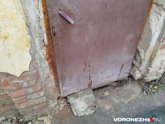 Источник: Дмитрий Волгин / Voronezh1.ru