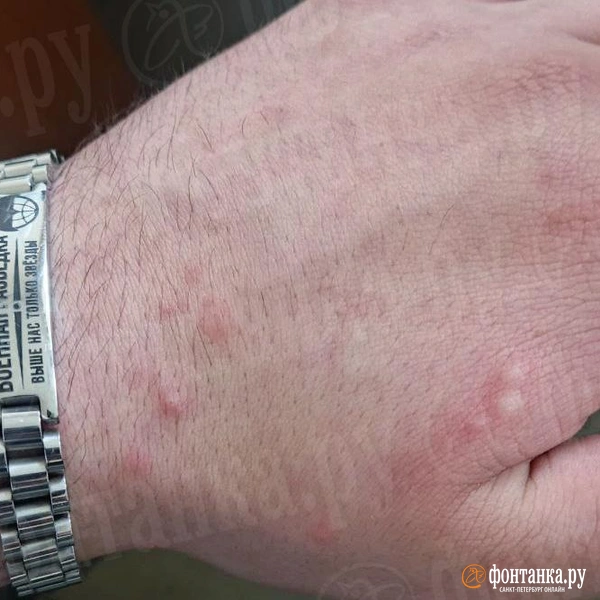 Источник: Владислав Михеев