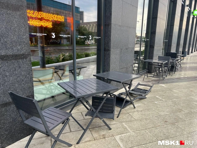 Ветер в Москве сильный | Источник: читатель MSK1.RU