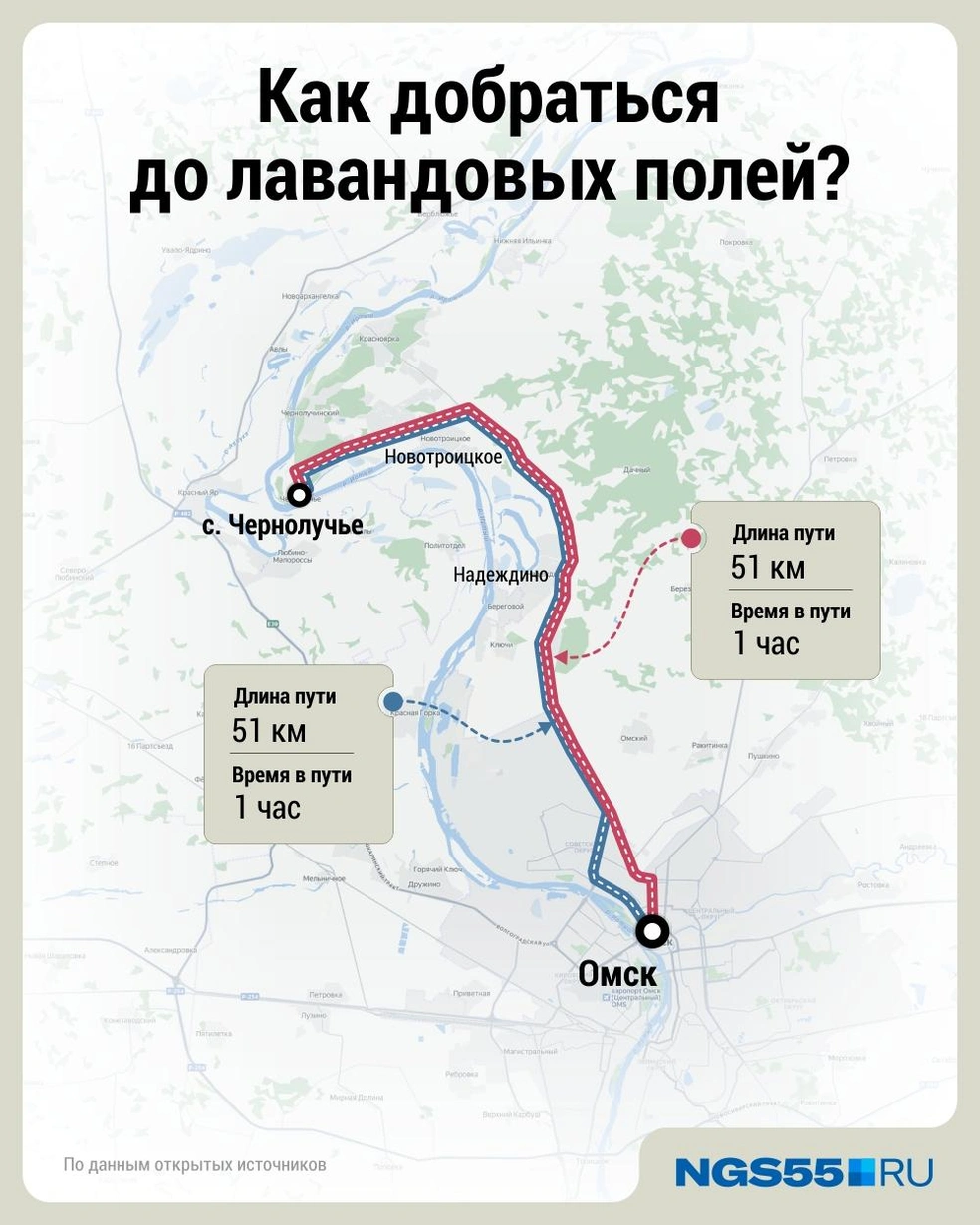 Можно поехать в Чернолучье  | Источник: Дмитрий Гладышев / Городские медиа 