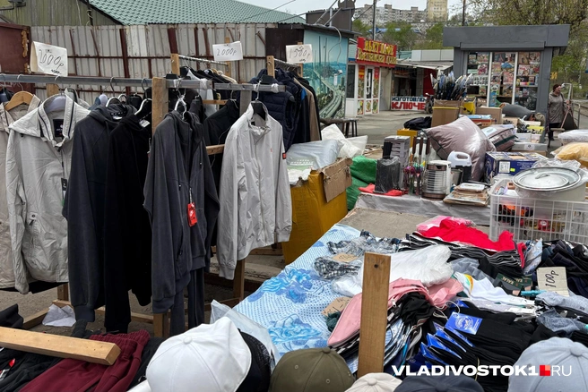 Источник: Елена Буйвол / VLADIVOSTOK1.RU