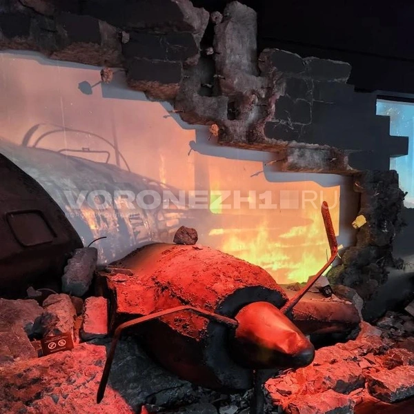 Источник: Ирина Булгакова/ Voronezh1.ru