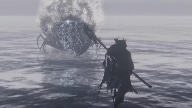 Чем ленивее пауки, тем жирнее мухи | Источник: Bloodborne