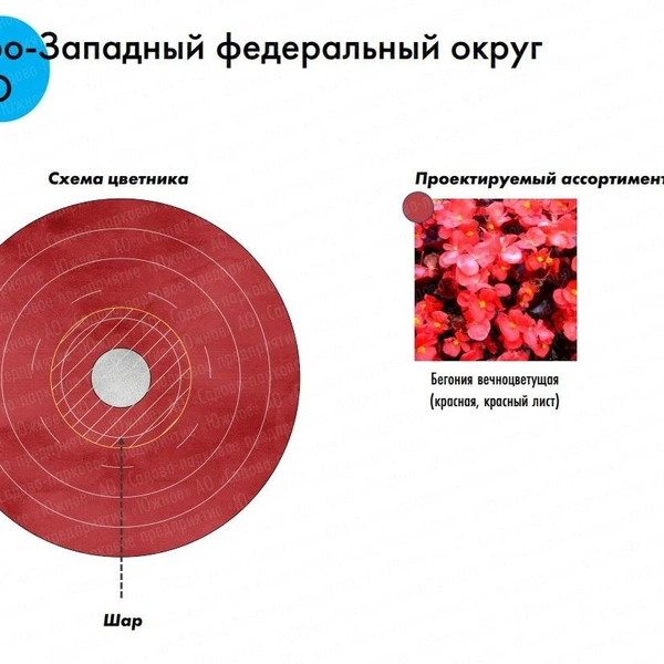 Источник: ЕИС «Закупки»