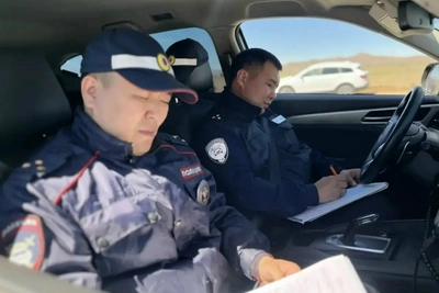 Госавтоинспекторы пресекли 47 нарушений на конных скачках