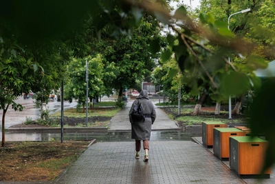Теплое и дождливое лето ожидается в Тюмени