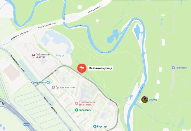 Пространство будущего парка находится между Пейзажной улицей и рекой Охтой | Источник: Яндекс.Карты