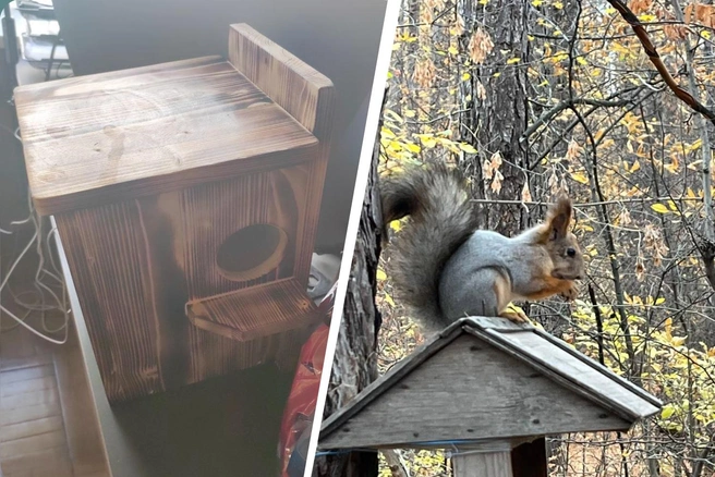 Арслан мечтает повесить рядом с легендарным дубом бельчатник | Источник: Арслан Кинзябулатов / Telegram, Елена Ананьева / Telegram