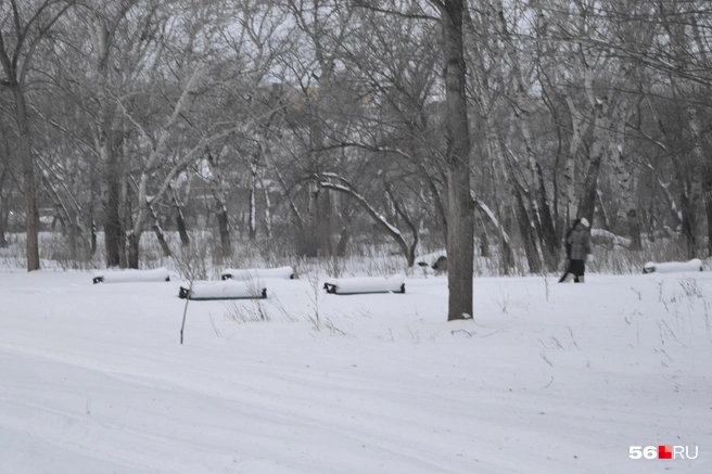 Опять снежные шапки на лавках | Источник: Анастасия Баринова / 56.RU