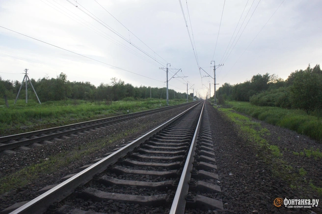 Забайкалье очень нуждается в собственном производстве цемента | Источник: Михаил Огнев / FONTANKA.RU