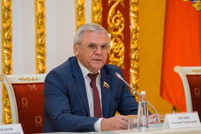 Люлин назвал заявление Макрона важнее замедления Telegram