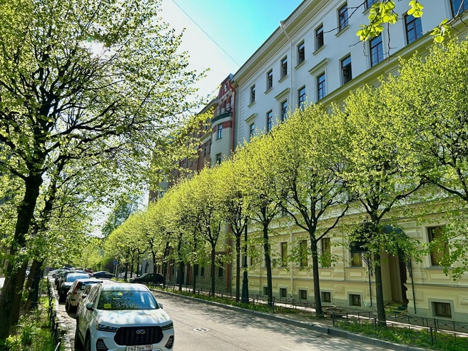 Источник: Василий Ларионов / Vk.com