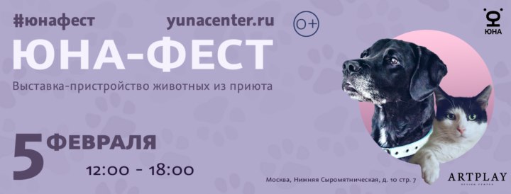 5 мохнатых причин посетить выставку-пристройство животных из приютов | maximonline.ru