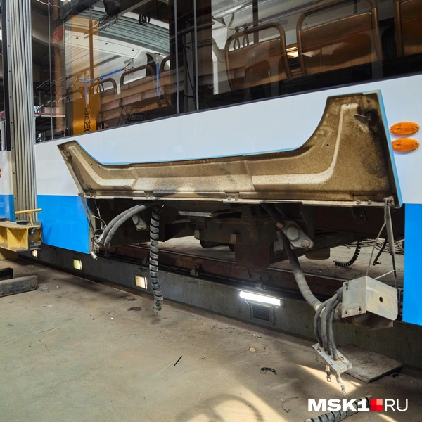 Источник: Дмитрий Толстошеев / MSK1.RU