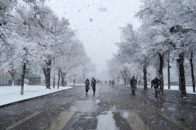 Циклон ухудшит погоду в Приамурье