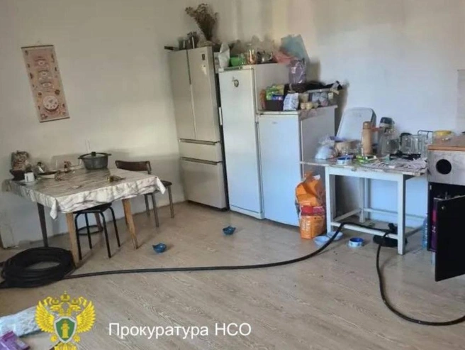 Мужчина протянул шланг от плиты до кровати жены и открыл газ | Источник: прокуратура Новосибирской области