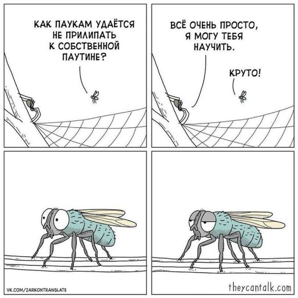15 картинок недели и работа в open space | maximonline.ru