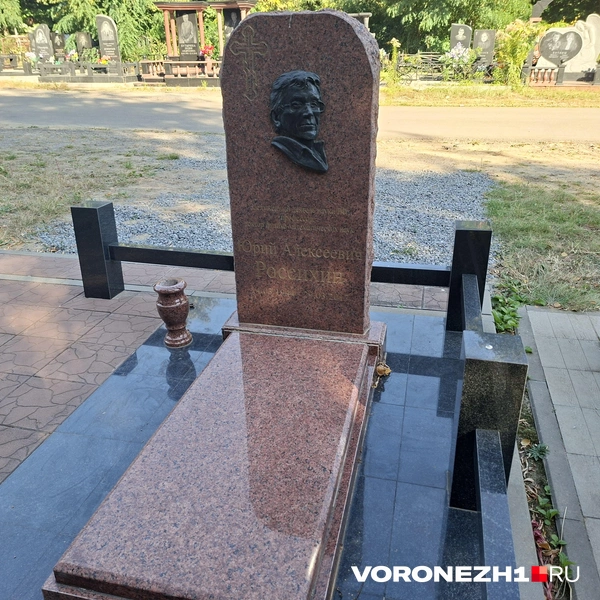 Источник: Алена Воропаева / Voronezh1.ru