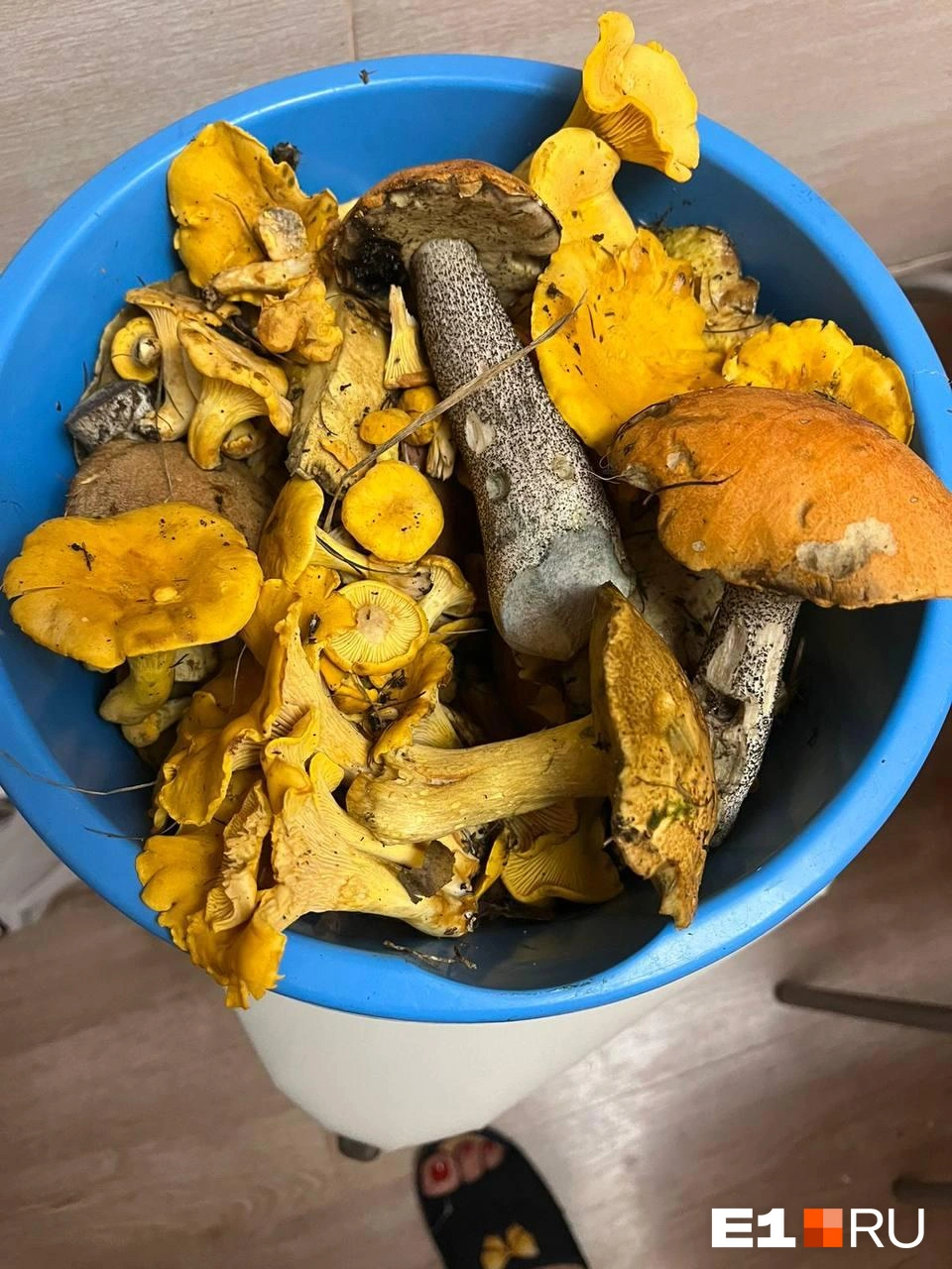 Источник: читательница E1.RU Екатерина