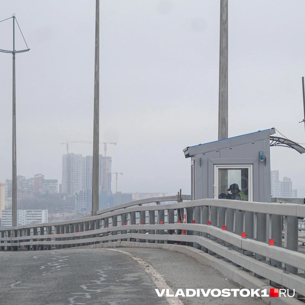 Источник: Елена Буйвол / VLADIVOSTOK1.RU