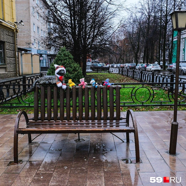 Кошечка на батарее стала мамой | Источник: Тимофей Калмаков / 59.RU