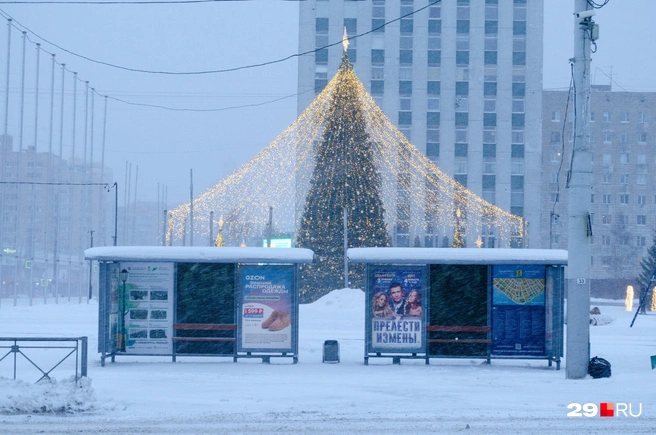 Ноывый год пришел в Архангельск с метелью | Источник: Антон Данилов