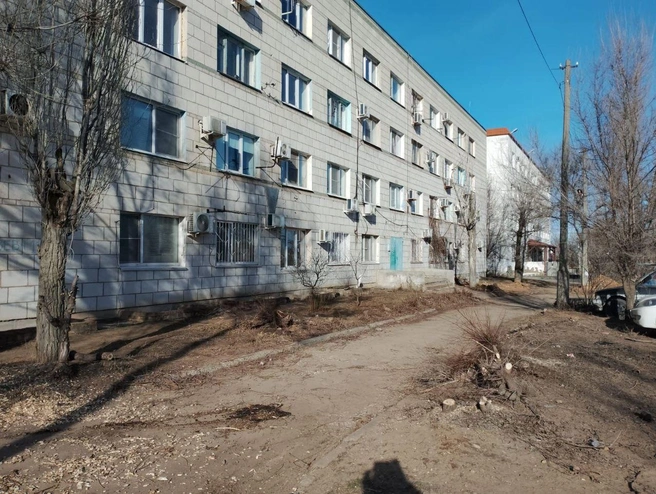 Обрезка деревьев тоже была выполнена впервые за много лет | Источник: Александр Хабаров