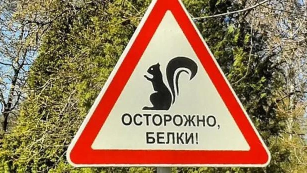 Тест: Хорошо ли вы знаете дорожные знаки