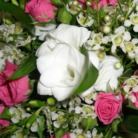 Аватарка Людмила