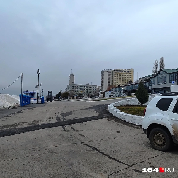 Источник: Сергей Гендин / 164.RU