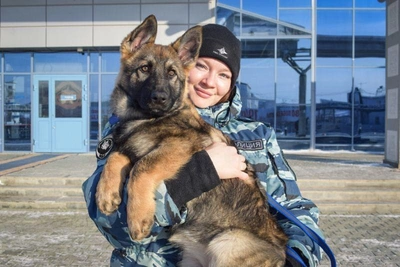 В Якутск прибыл служебный щенок Манго