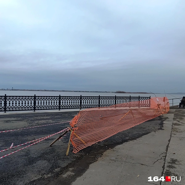 Источник: Сергей Гендин / 164.RU