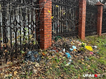 Источник: Екатерина Чижик / UFA1.RU