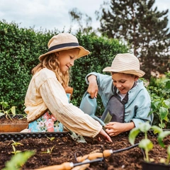 Какой будет погода на майские праздники 2026 по регионам