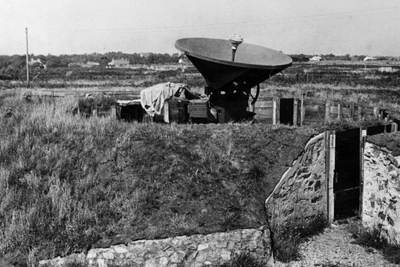 How echolocation evolved from horns to lasers