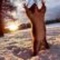 Аватарка Antoha